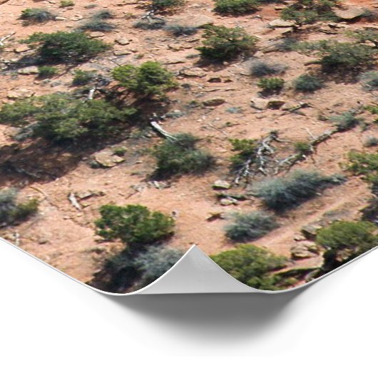 結婚峡谷 ポスター (角)