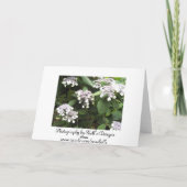 結婚式のお祝い カード (裏面)