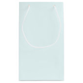 結婚式の引き出物アイスブルートロピカルネーム&日付 スモールペーパーバッグ (裏面)