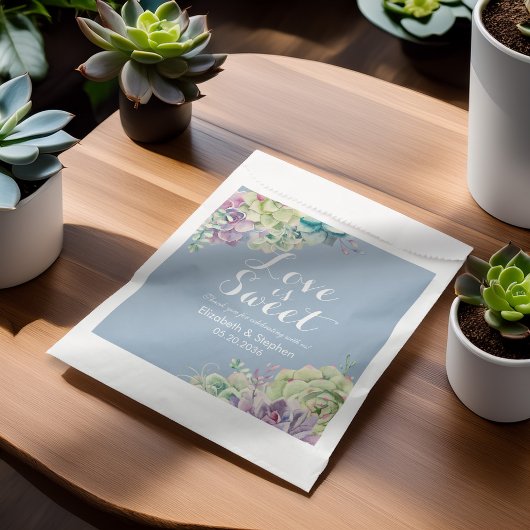 結婚式の引き出物バッグシックな水カラー多肉植物 フェイバーバッグ