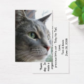 結婚式の引き出物（サンプル）カード (デスク)