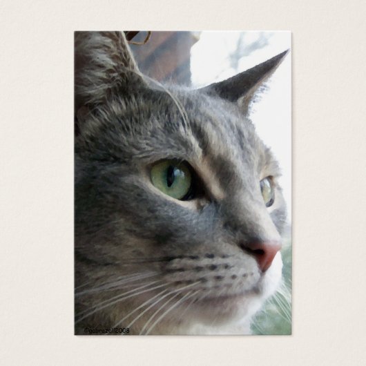 結婚式の引き出物（サンプル）カード (正面)