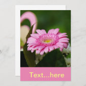 結婚式の招待状テンプレート 招待状 (正面/裏面)