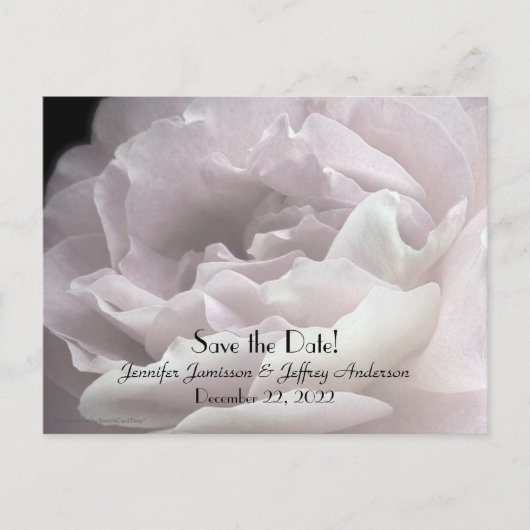 結婚式の案内ピンクの葉っぱ ポストカード (正面)