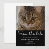 結婚式の猫の写真 セーブザデート (正面/裏面)