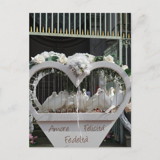 結婚式の鳩が新郎新婦を待っています ポストカード (正面)