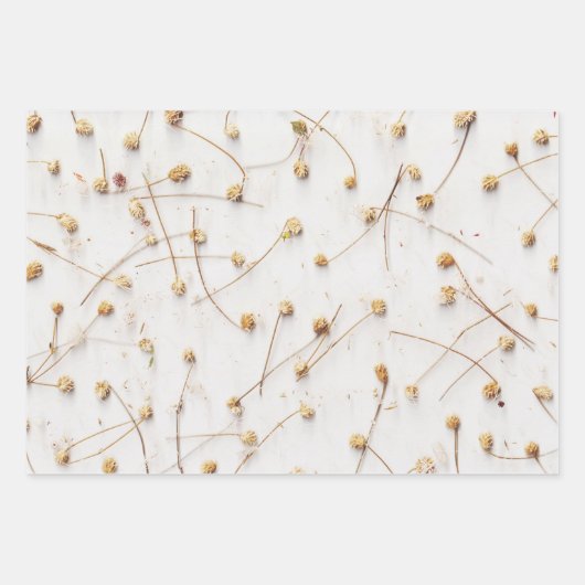 結婚式や贈答用の乾燥した植物のパターン ラッピングペーパーシート (正面3)