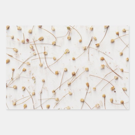 結婚式や贈答用の乾燥した植物のパターン ラッピングペーパーシート (正面2)