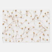 結婚式や贈答用の乾燥した植物のパターン ラッピングペーパーシート (正面)