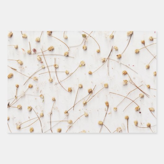 結婚式や贈答用の乾燥した植物のパターン ラッピングペーパーシート (正面)