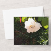 結婚式招待状すべて1つ オールインワン招待状 (裏面)