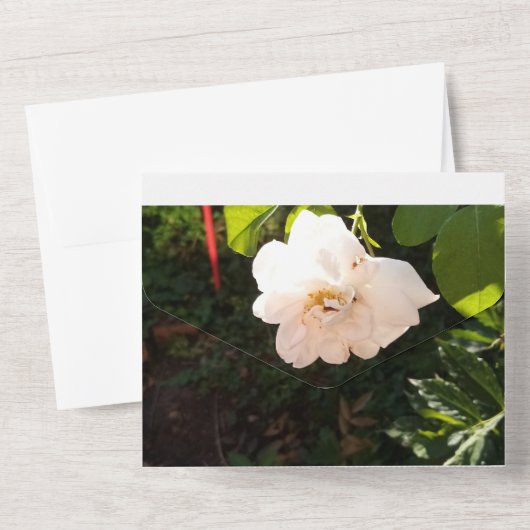 結婚式招待状すべて1つ オールインワン招待状 (裏面)