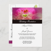 結婚式招待状はがき インビテーションポストカード (正面/裏面)