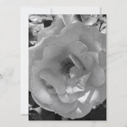 結婚式招待状フラットカードバラスタイルデザイン (正面)