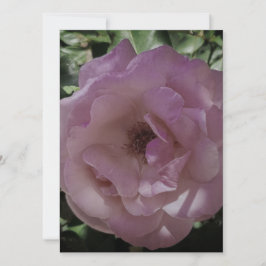 結婚式招待状フラットカードバラスタイルデザイン