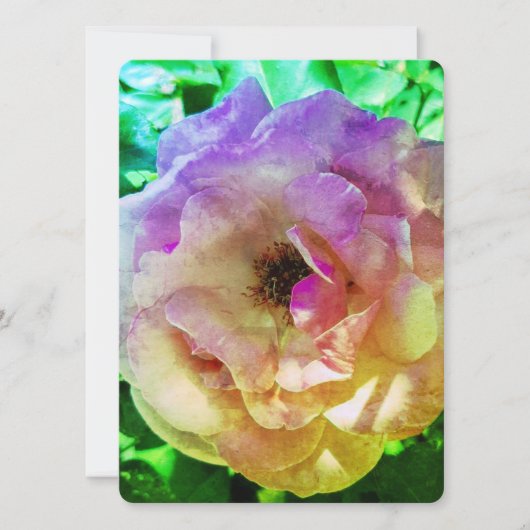 結婚式招待状フラットカードビューティフルバラスタイル (正面)