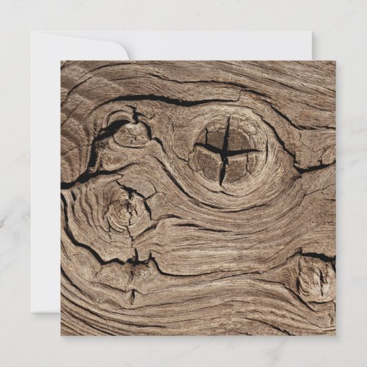 結婚式招待状 (裏面)