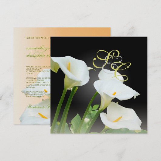 結婚式招待状 招待状 (正面/裏面)