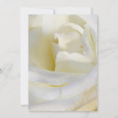 結婚式招待状 招待状 (裏面)