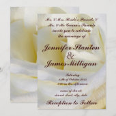 結婚式招待状 招待状 (正面/裏面)