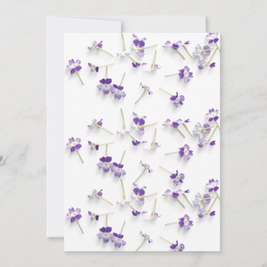 結婚式招待状 招待状 (裏面)