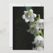 結婚式招待状 招待状 (裏面)