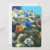 結婚式招待状 |水中ビュー 招待状 (裏面)