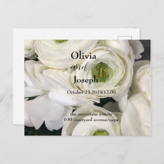 結婚式招待状,白い新鮮なバラ,テンプレート ポストカード (正面/裏面)