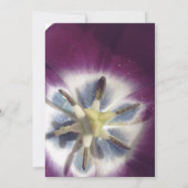 結婚式招待状、紫のチューリップ写真 招待状 (裏面)