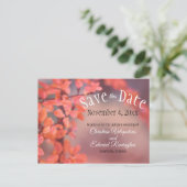 結婚式日付の保存紅葉《写真》ぼけ味フレーミング ポストカード (スタンド正面)