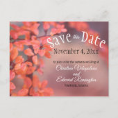 結婚式日付の保存紅葉《写真》ぼけ味フレーミング ポストカード (正面)