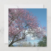 結婚式 招待状 花嫁の両親からの招待状 桜の木 (裏面)