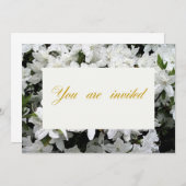 結婚式、誕生日、記念日の招待状 招待状 (正面/裏面)