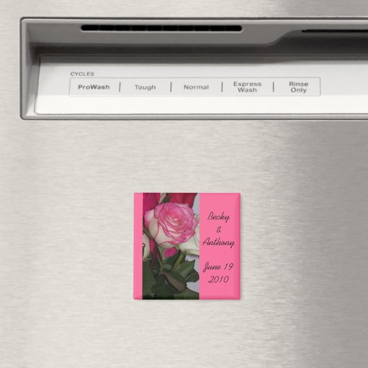 結婚形見 マグネット (インサイチュ (食洗機))