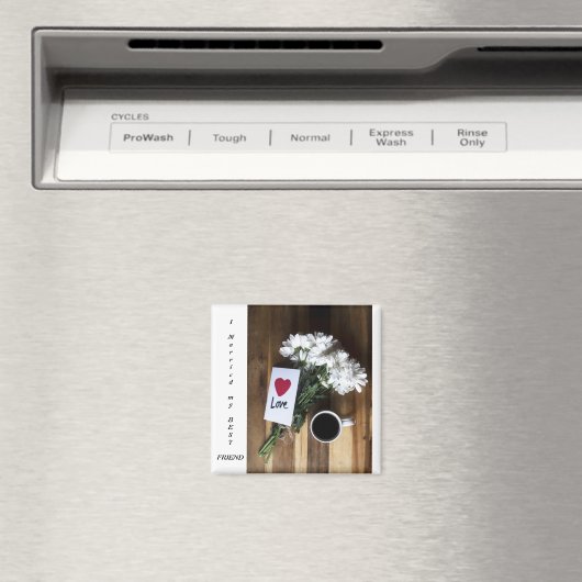 結婚最高の者 マグネット (インサイチュ (食洗機))