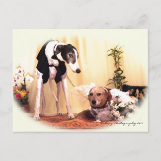 結婚犬 ポストカード