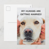 結婚発表 オーダーフォト 犬 ポストカード (正面/裏面)