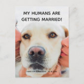 結婚発表 オーダーフォト 犬 ポストカード (正面)