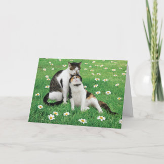結婚記念日 猫 カード 面白い かわいい ベスト
