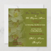 結婚誓いの更新 - 招待状 - ハスの花 (裏面)