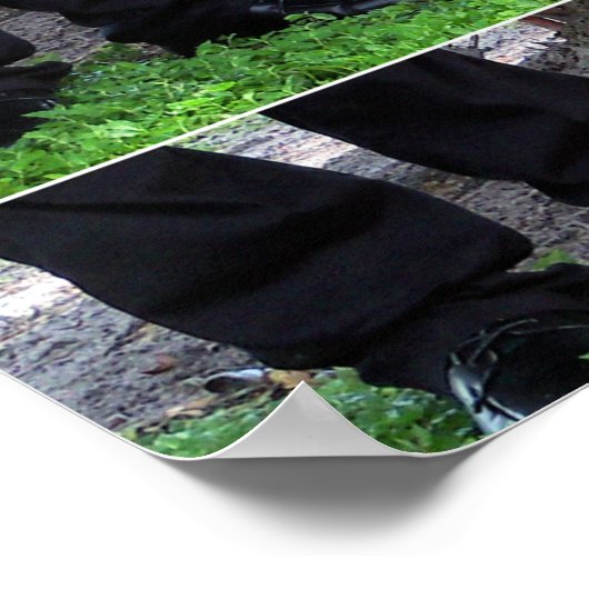 結婚靴 ポスター (角)