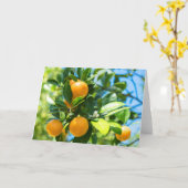 結実性オレンジの木 カード (黄色い花)