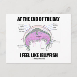 結局のところ私はクラゲみたいなもの ポストカード