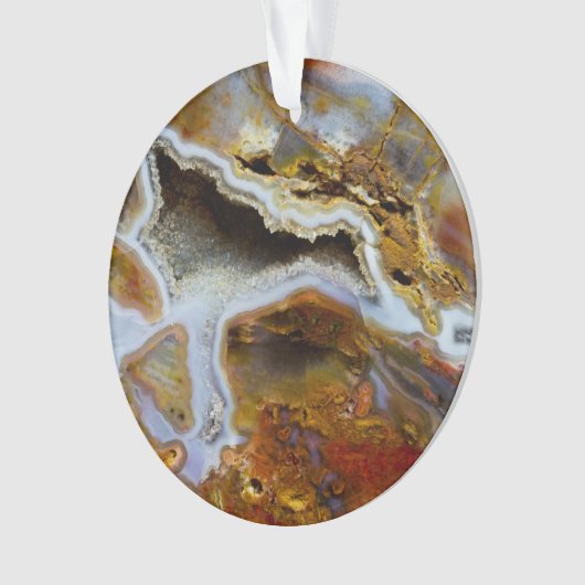 結晶を持つ石化された木材 オーナメント (正面)