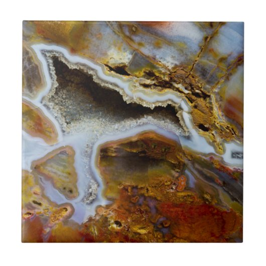 結晶を有する石化木材 タイル (正面)