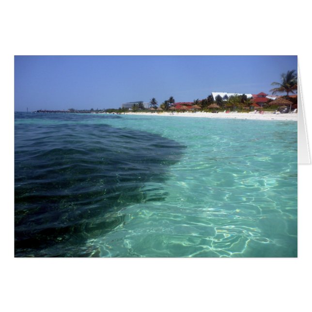 結晶バ澄んハマ (正面横)