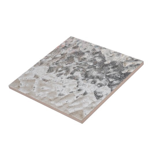 結晶化された タイル (側面)