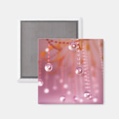 結晶磁石中の日没 マグネット (正面/裏面)