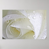 結晶雨 ポスター (正面)