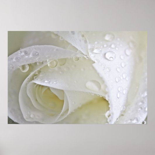 結晶雨 ポスター (正面)